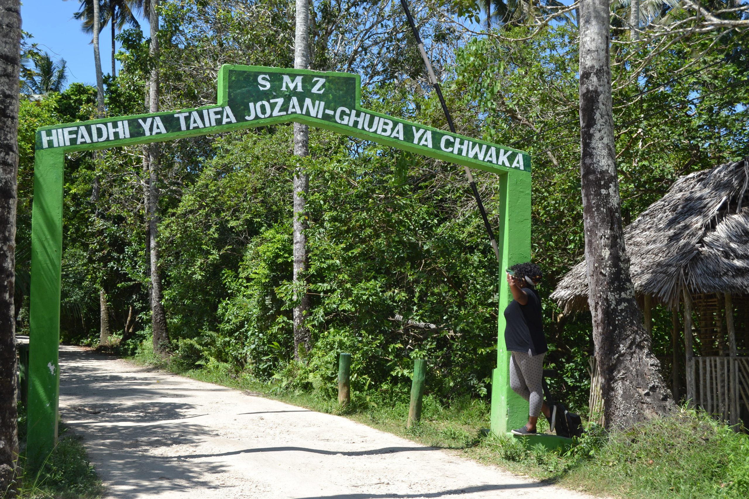 Jozani Forest